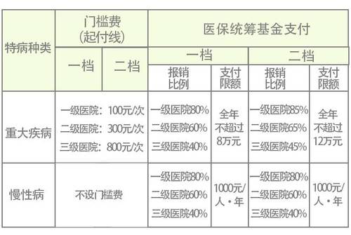 居民特病报销