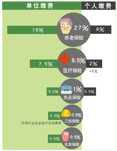 职场新人参保2